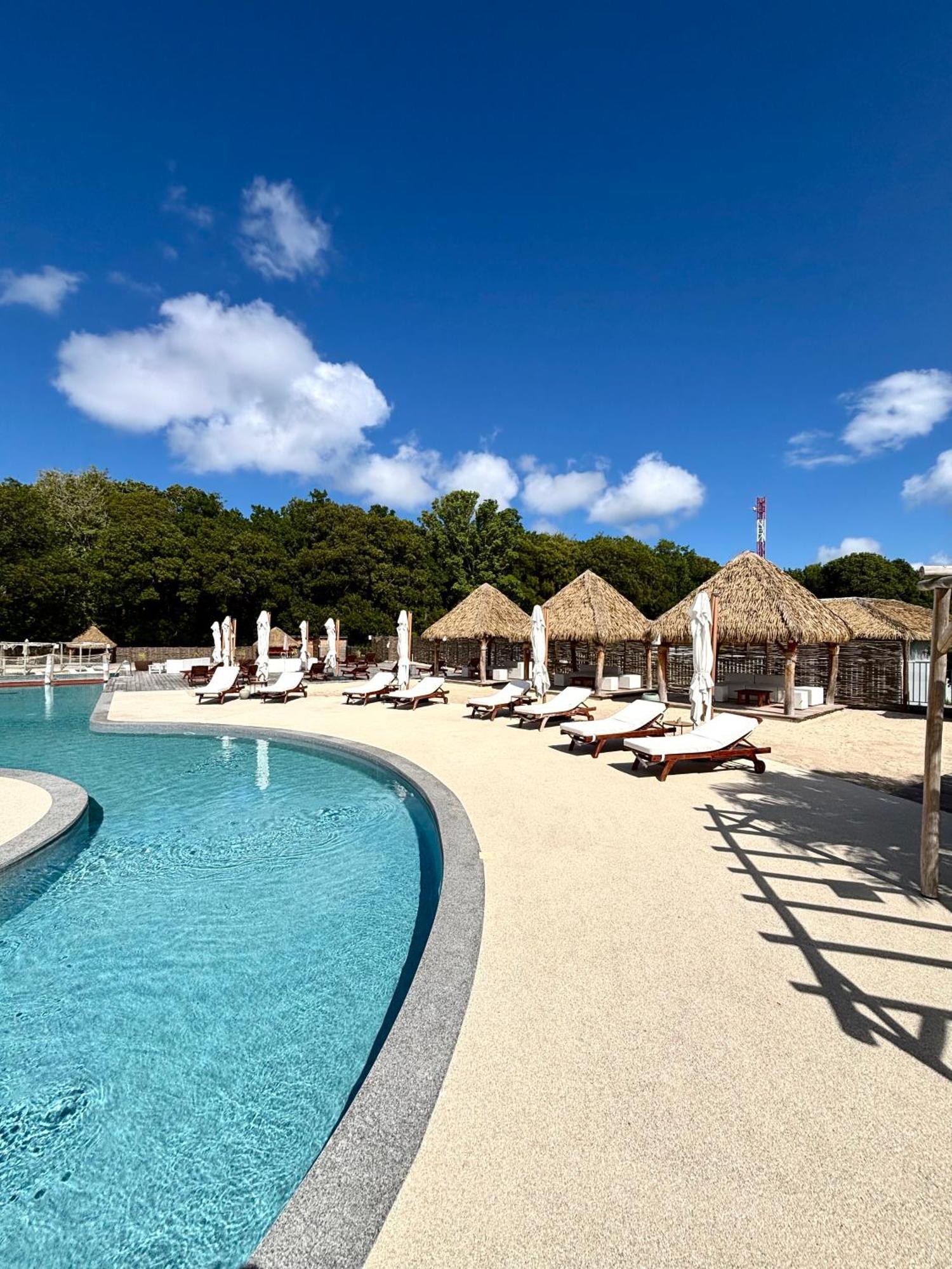 La Bulle De Maloma - Piscine, Blue Dream, Plage Grand-Bourg  Exterior foto